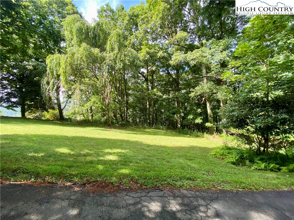 Image number 15 for the current listing