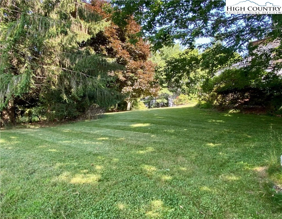 Image number 16 for the current listing
