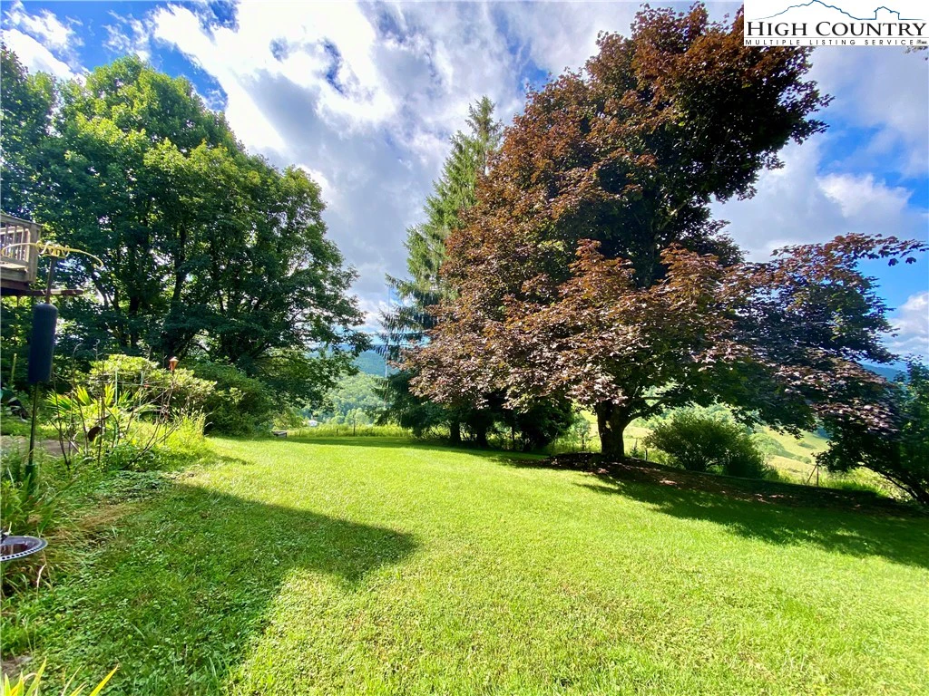 Image number 17 for the current listing