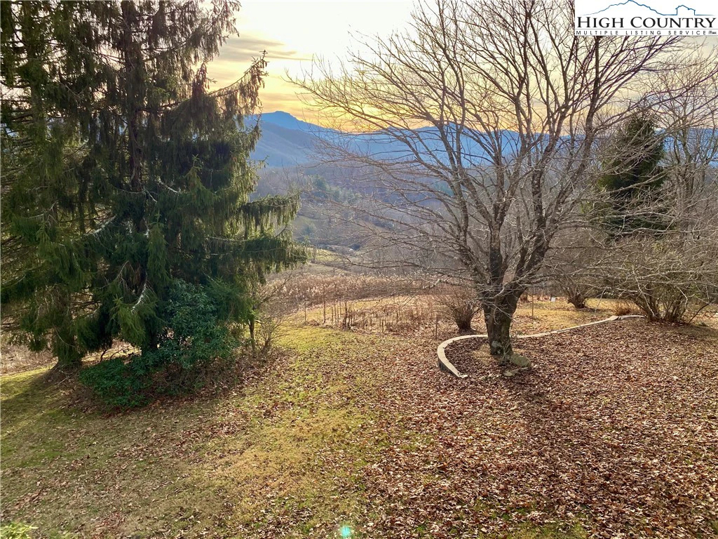 Image number 20 for the current listing