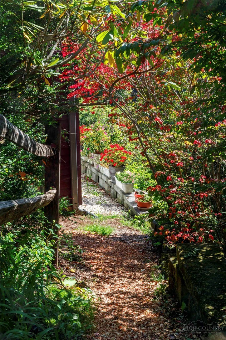 Image number 14 for the current listing