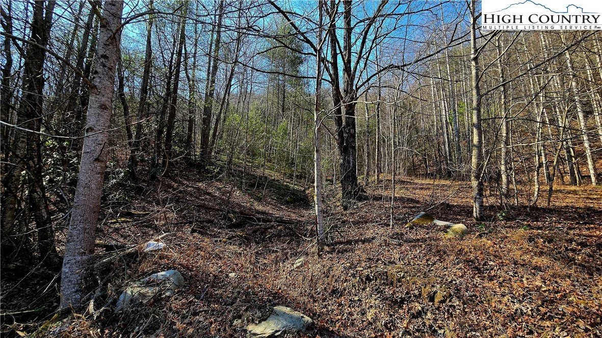Image number 16 for the current listing