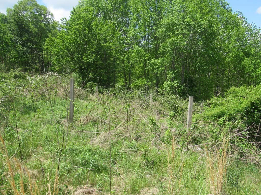 Image number 14 for the current listing
