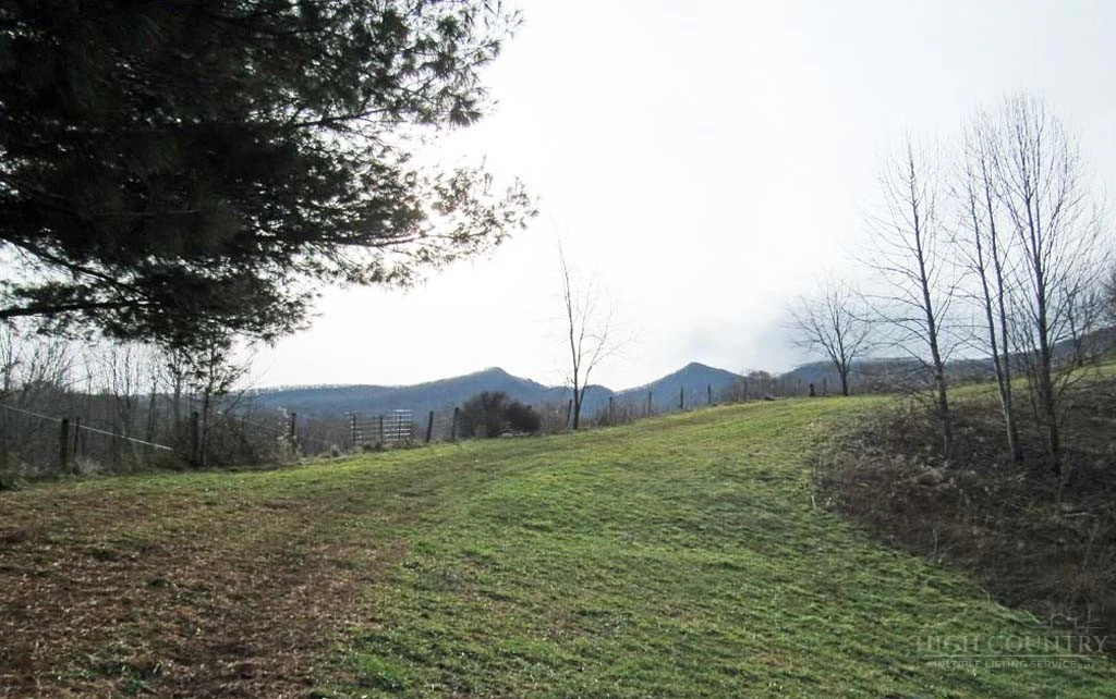 Image number 4 for the current listing