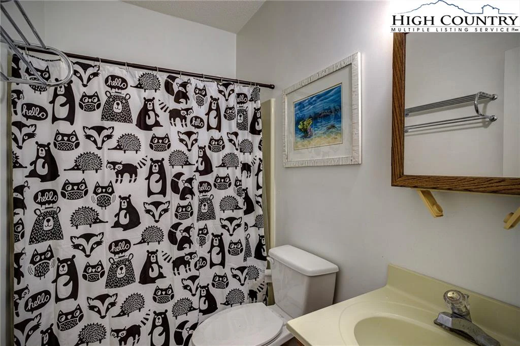 Image number 8 for the current listing