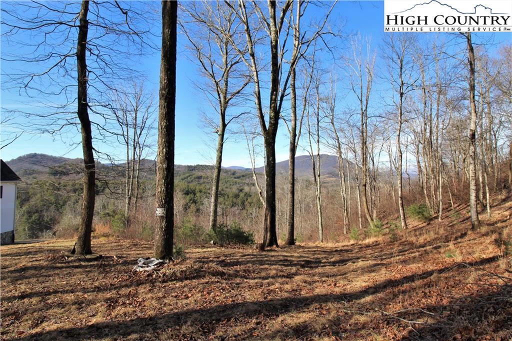 Image number 7 for the current listing