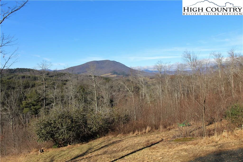 Image number 10 for the current listing