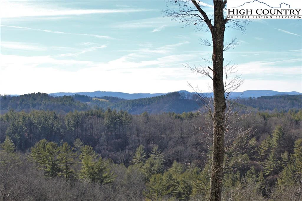 Image number 2 for the current listing