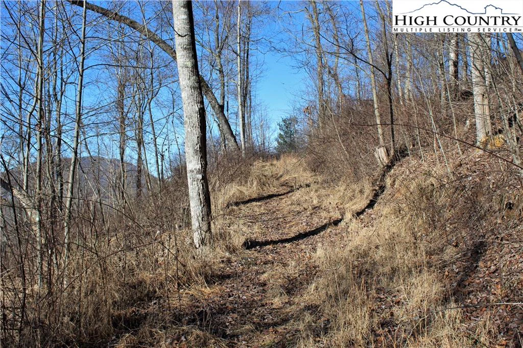 Image number 13 for the current listing