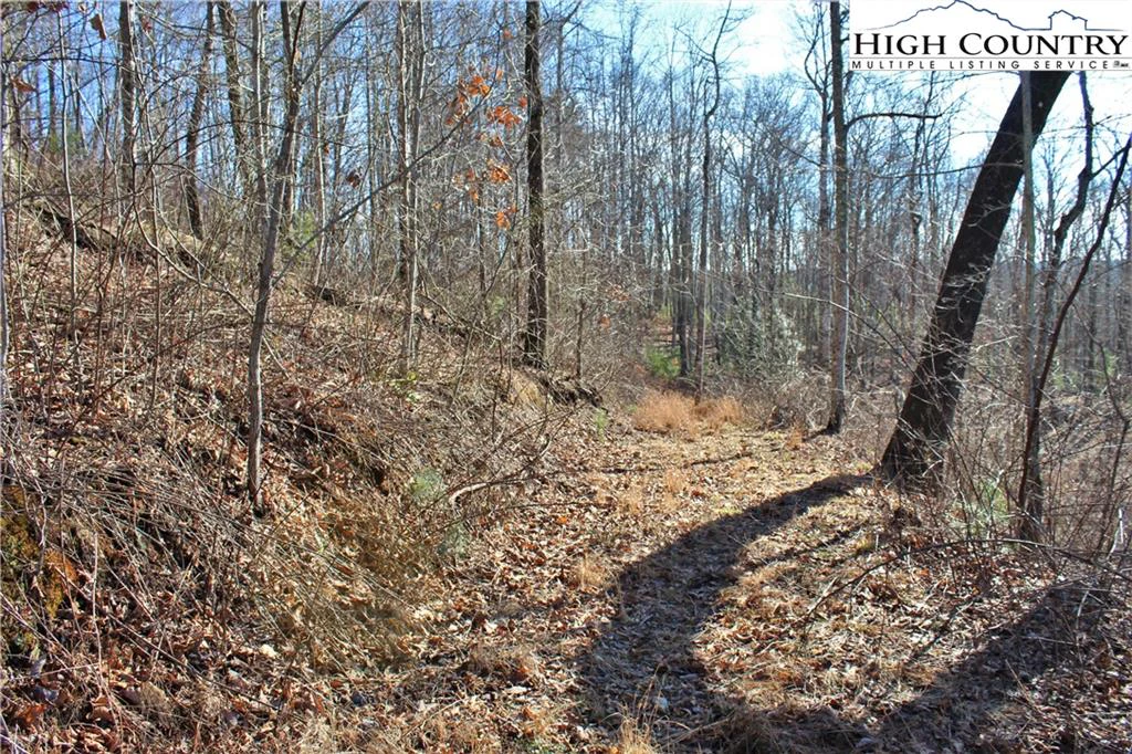 Image number 14 for the current listing