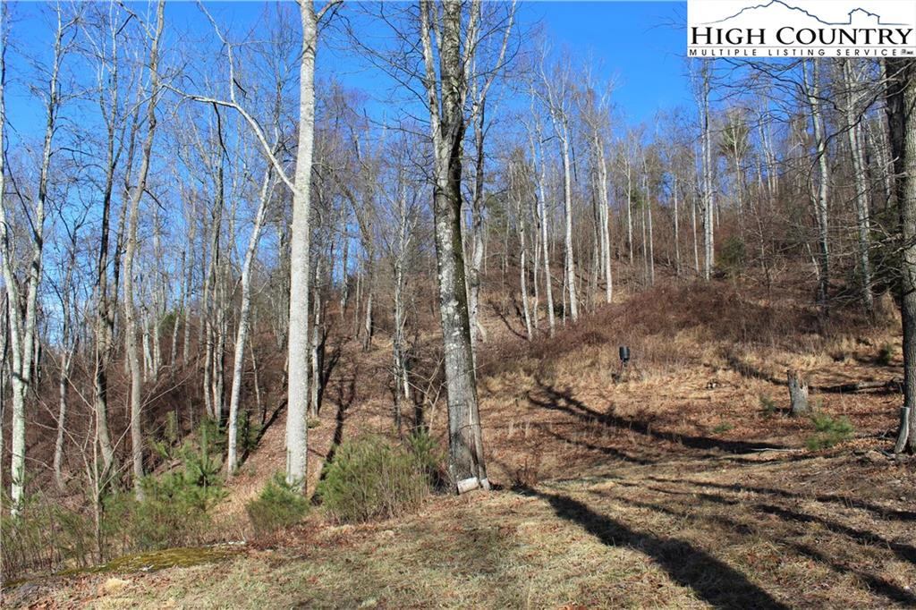 Image number 18 for the current listing