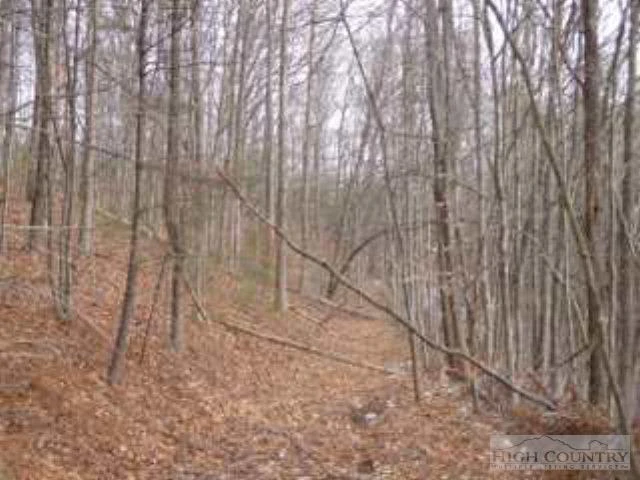 Image number 20 for the current listing