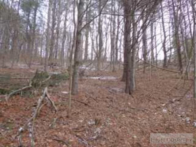 Image number 19 for the current listing