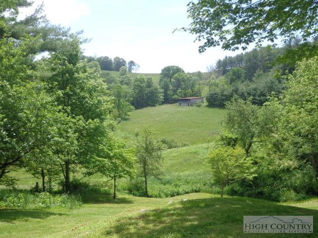 Image number 13 for the current listing