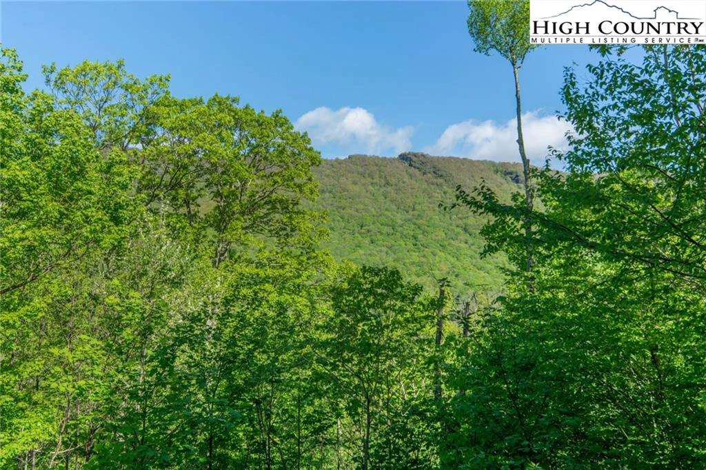 Image number 17 for the current listing
