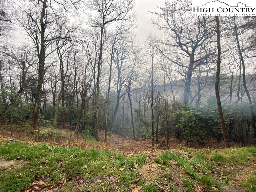 Image number 9 for the current listing
