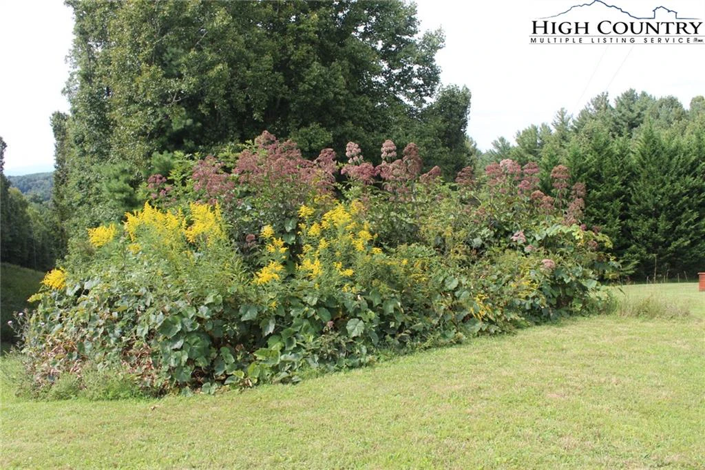 Image number 2 for the current listing