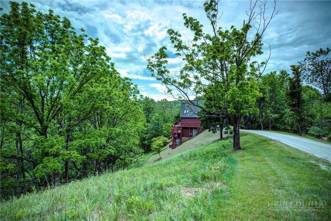 Image number 4 for the current listing
