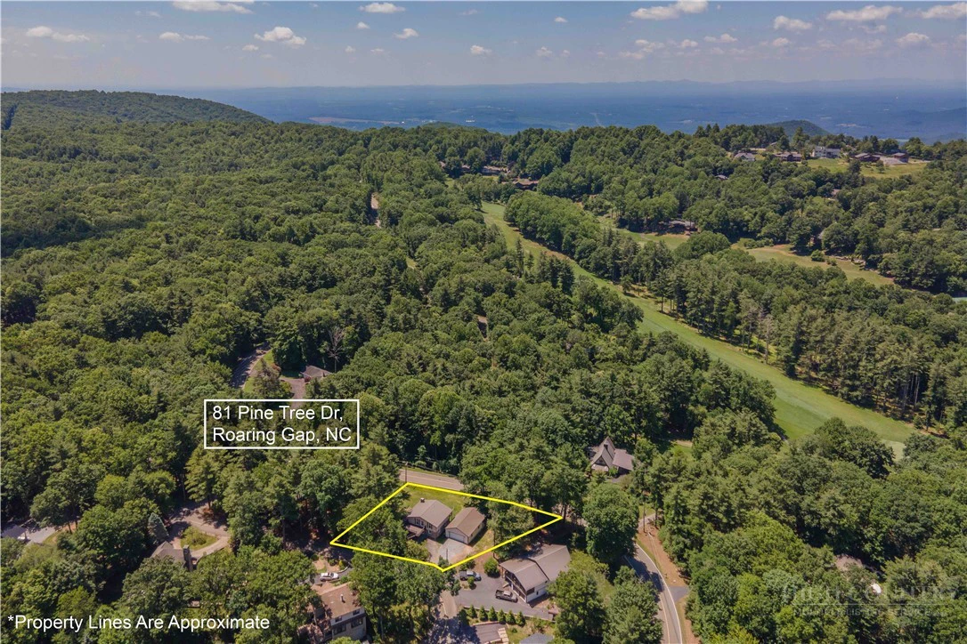 Image number 3 for the current listing