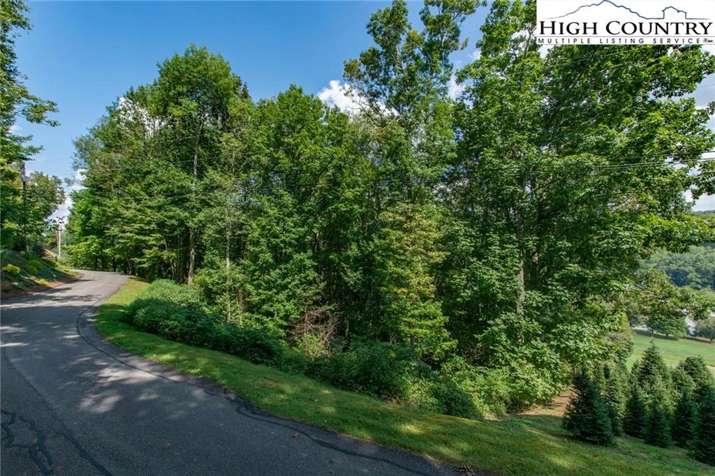 Image number 1 for the current listing