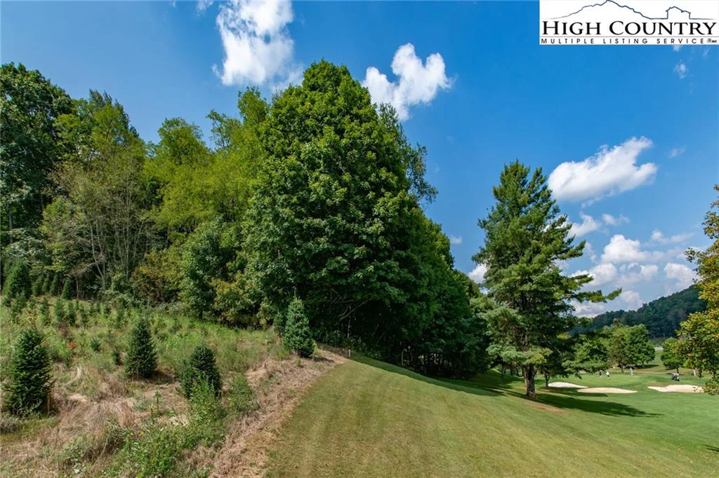 Image number 11 for the current listing