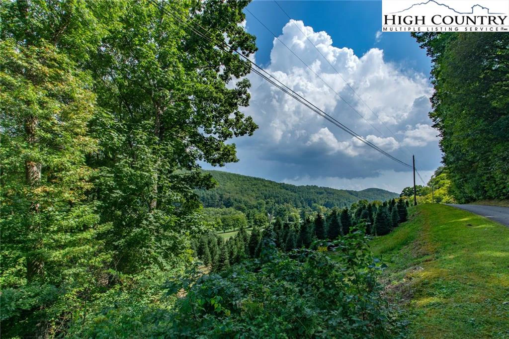 Image number 3 for the current listing