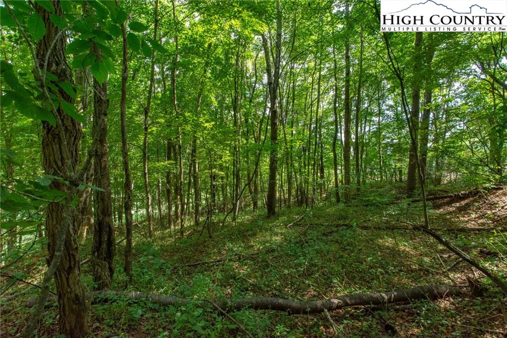 Image number 7 for the current listing