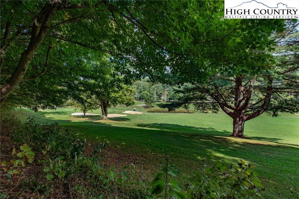 Image number 8 for the current listing