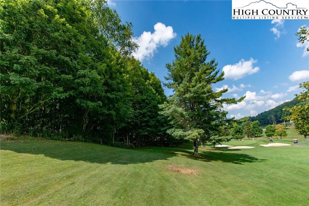 Image number 10 for the current listing