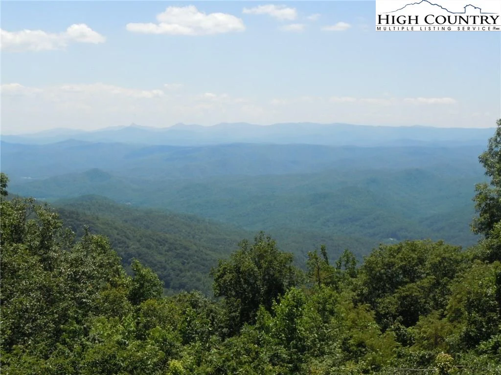 Image number 1 for the current listing