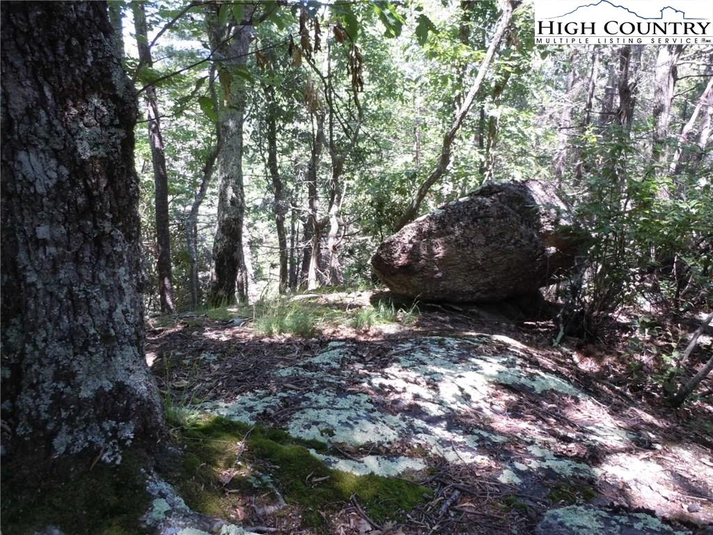 Image number 15 for the current listing