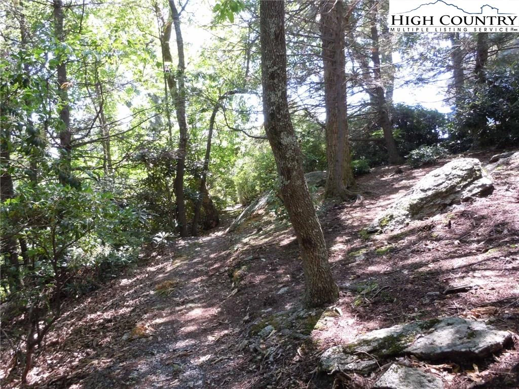 Image number 16 for the current listing