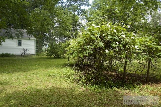 Image number 14 for the current listing