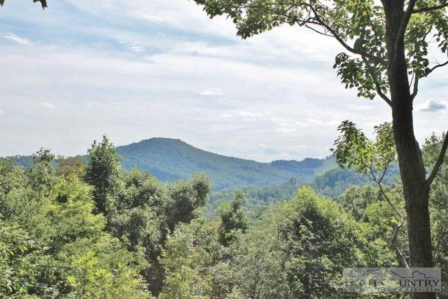 Image number 15 for the current listing