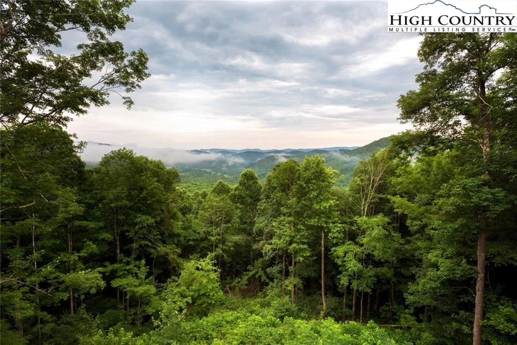 Image number 18 for the current listing