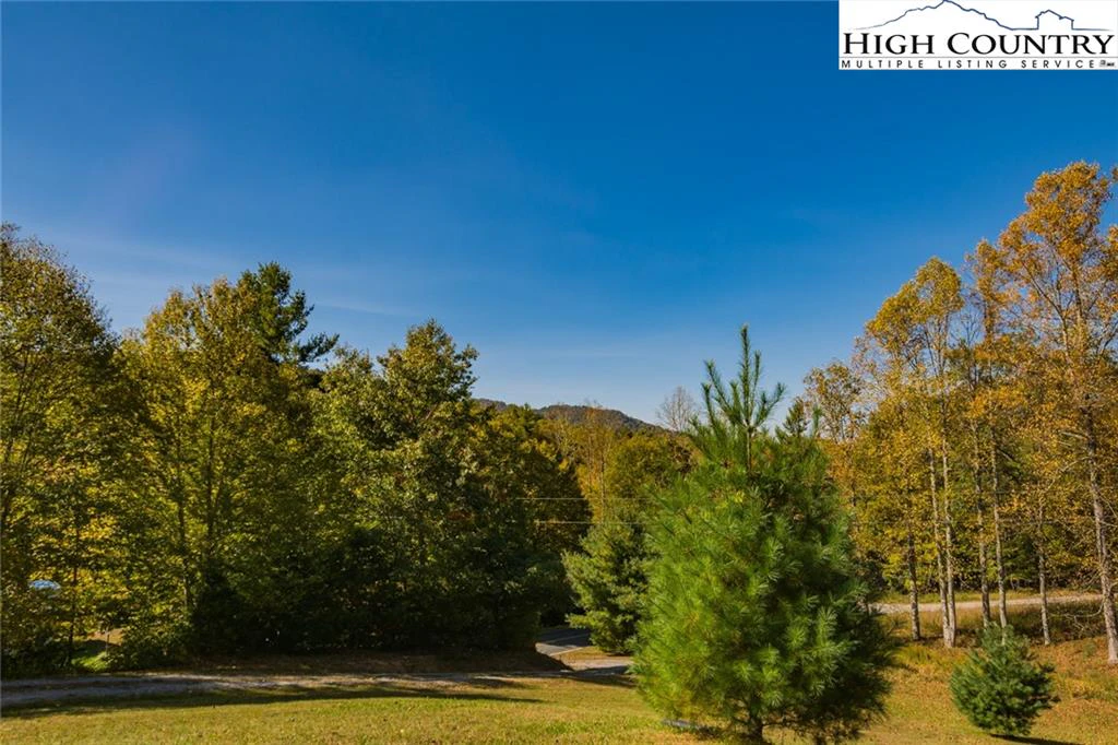 Image number 15 for the current listing