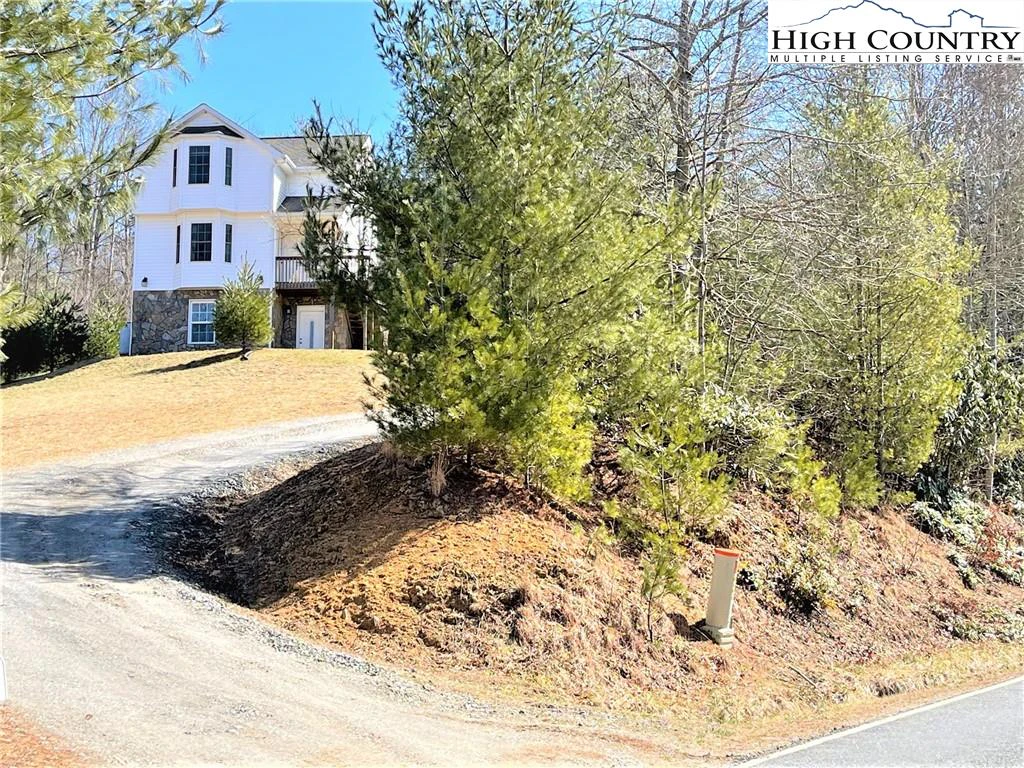 Image number 1 for the current listing
