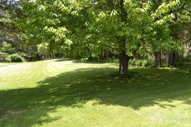 Image number 7 for the current listing