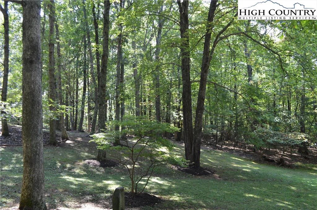 Image number 13 for the current listing