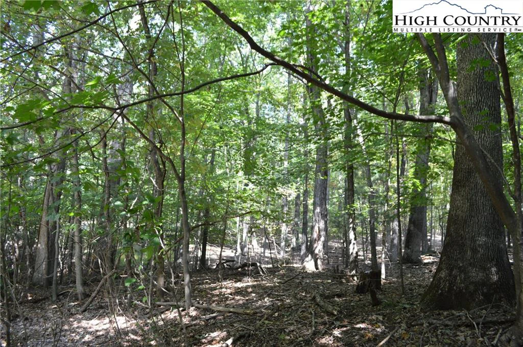 Image number 18 for the current listing