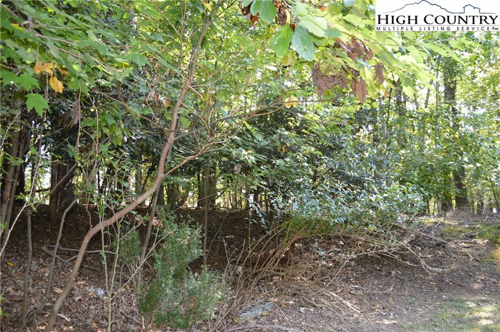 Image number 19 for the current listing