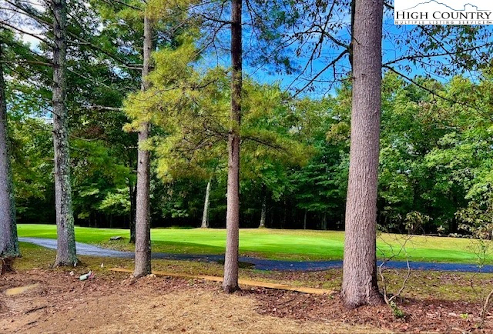 Image number 7 for the current listing