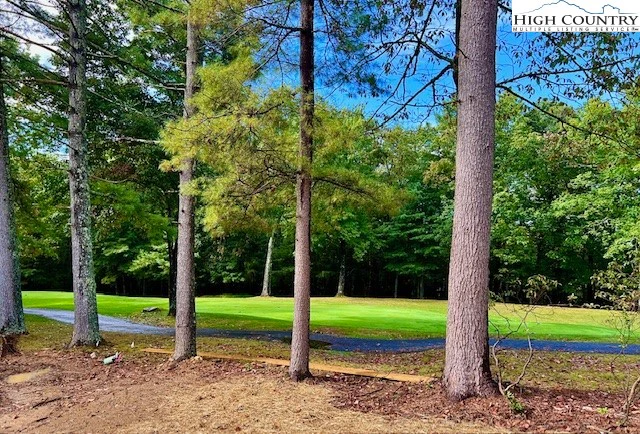 Image number 7 for the current listing