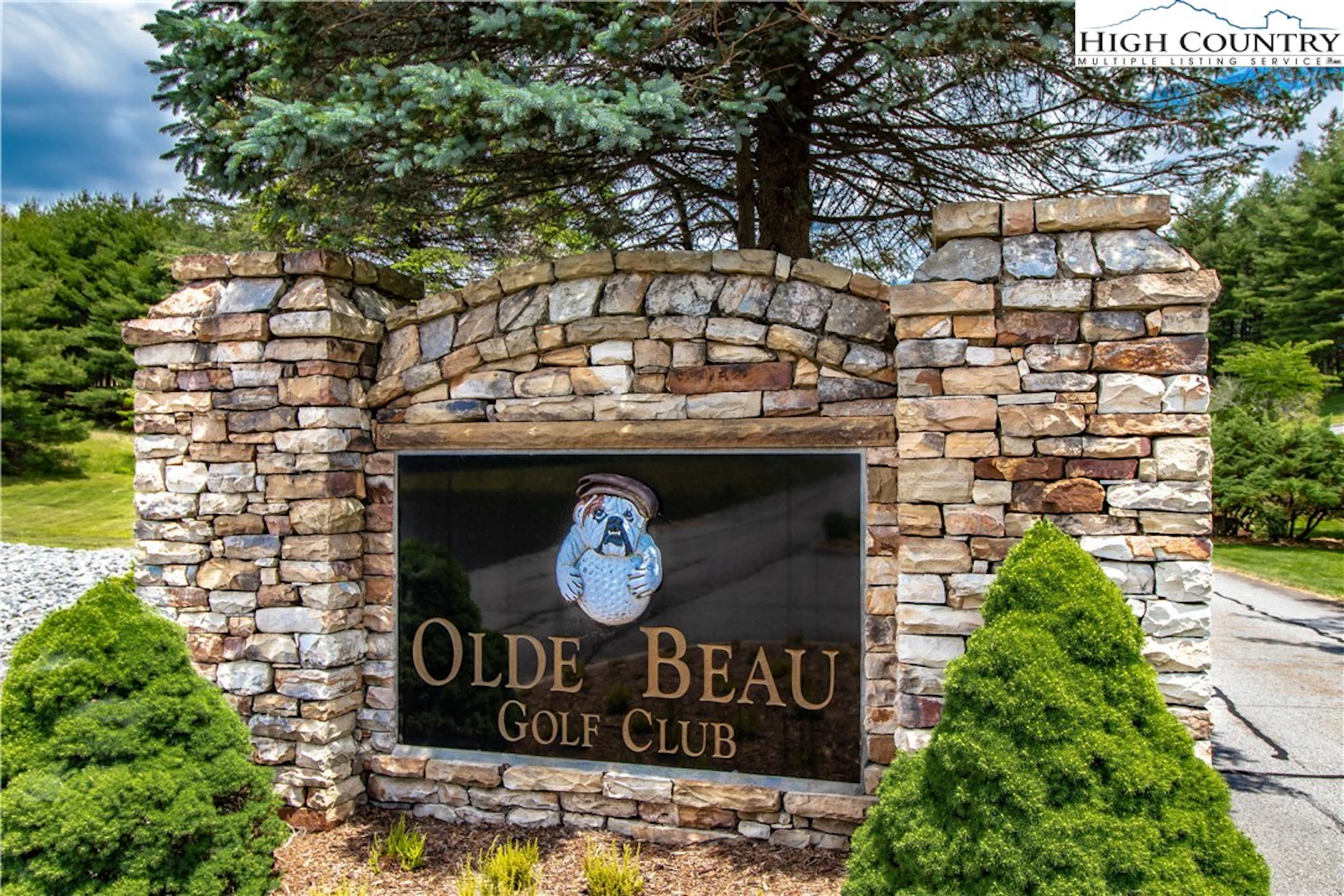 Image number 1 for the current listing