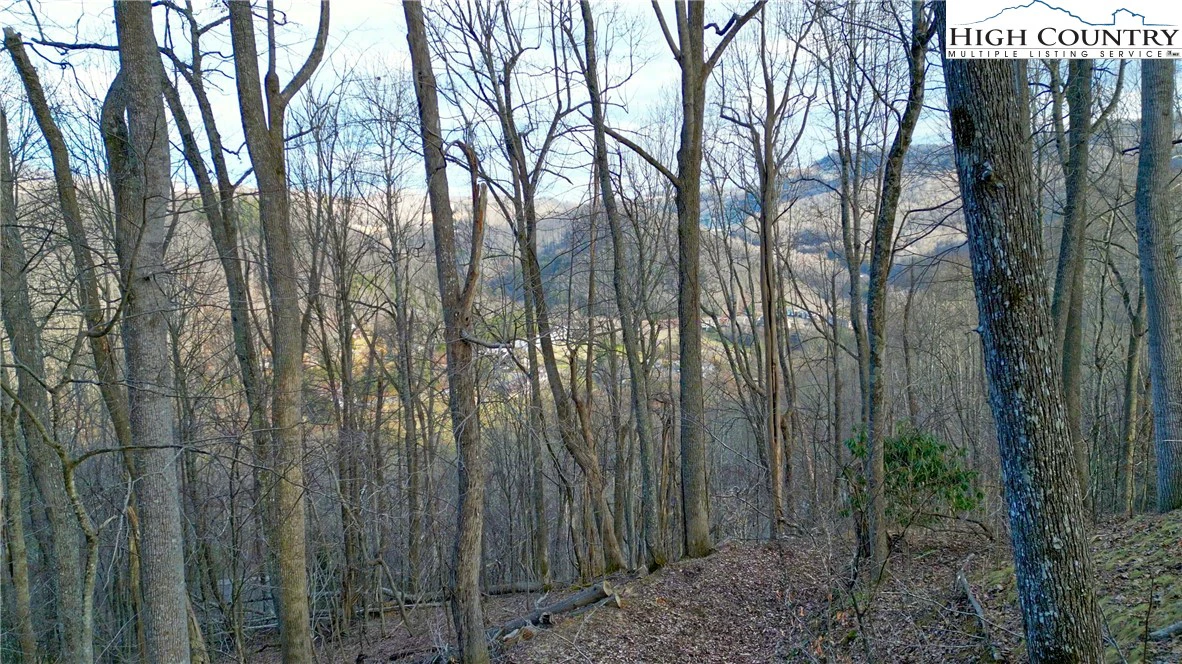 Image number 17 for the current listing