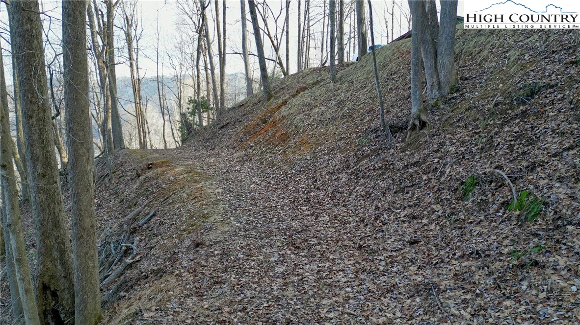 Image number 18 for the current listing