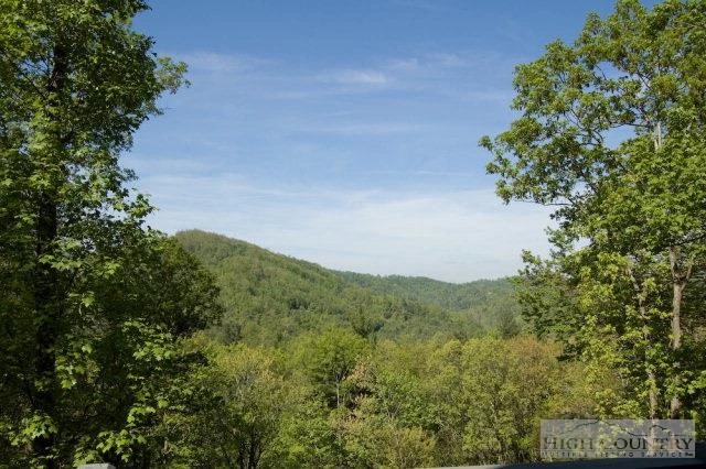 Image number 16 for the current listing