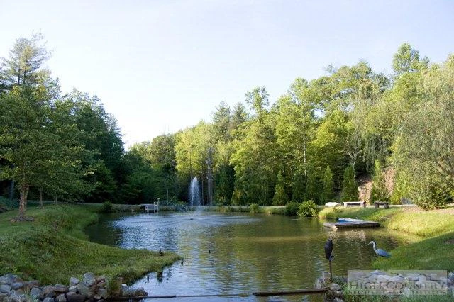 Image number 15 for the current listing