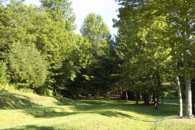 Image number 13 for the current listing