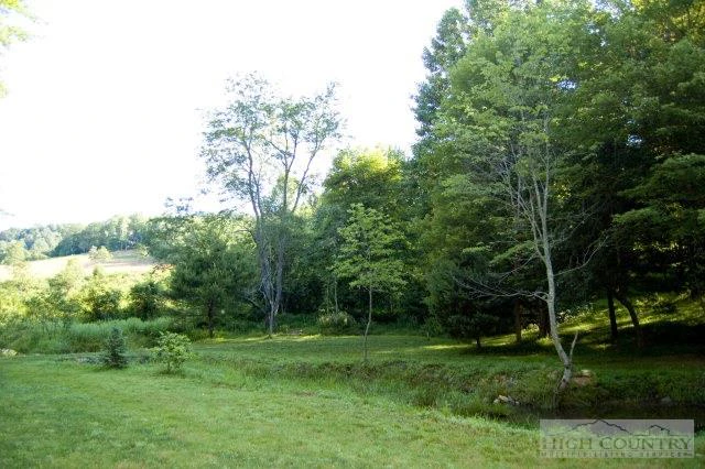 Image number 12 for the current listing